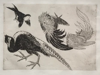 Dinner Service (Rousseau service): Pheasants and Bird (no. 18)