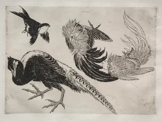 Dinner Service Rousseau Service: Pheasants and Bird No. 18
