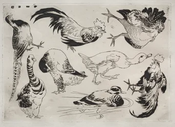 Dinner Service Rousseau Service: Roosters, Ducks, etc. No. 13
