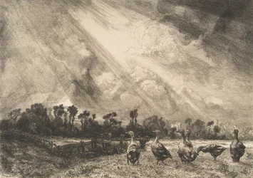 The Storm Cloud