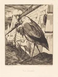 The Storks