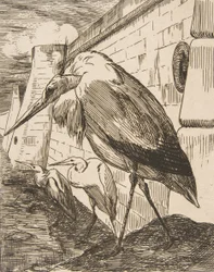 The Storks