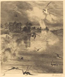 The Swallows