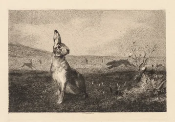 The Hare