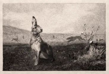 The Hare