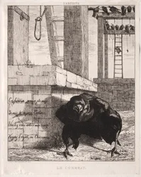 The Raven