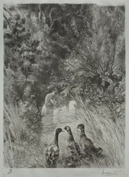 The Surprised Ducks