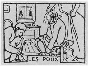 Carrot Head: Lice, written by Jules Renard ed. Flammarion (illustration)