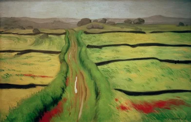Path through the Heath