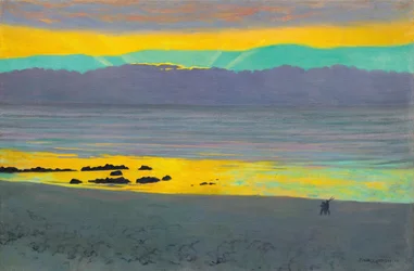 Yellow and green sunset