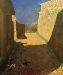 The Sunny Street