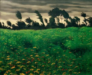 The Flowering Field