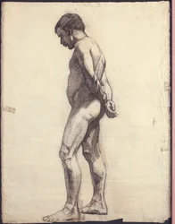 Standing Male Nude