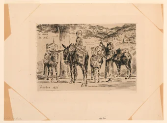 The Donkeys of the South