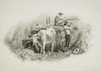 Haying Scene
