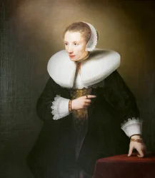 Portrait of an Unknown Woman
