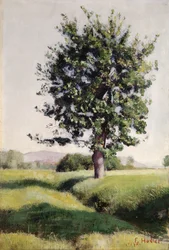 The Tree