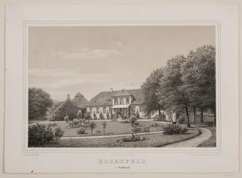 Rosenfeld in Zealand