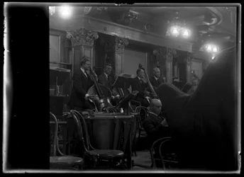 Bass player of the Viennese member of a philharmonic orchestra
