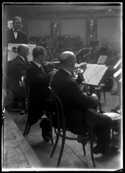 Bowed instrument of the Viennese member of a philharmonic orchestra