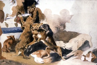 Wolves