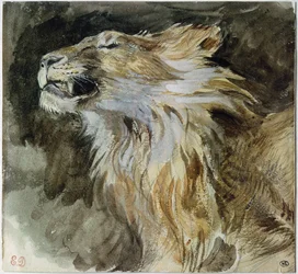 The Head of a Lion