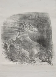 The Wild Horse, or Frightened Horse Leaving the Water, 1828