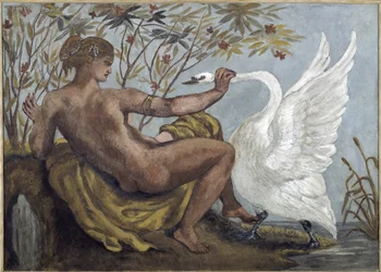 Unknown Image