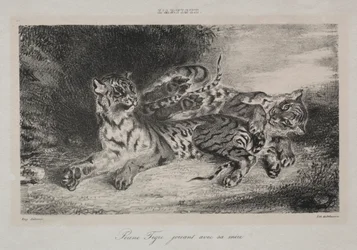 Young Tiger Playing with its Mother, 1831