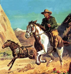 Aime Felix Tschiffely