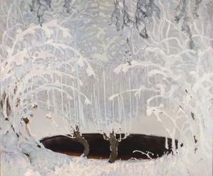 Winter Fairy Tale