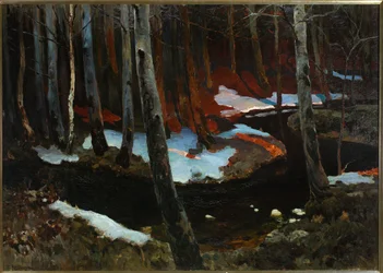 Forest Stream
