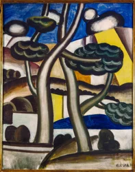 The Forest