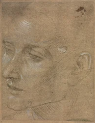 Head of a Young Man