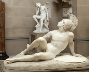 The Wounded Achilles