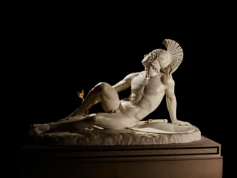 The Wounded Achilles