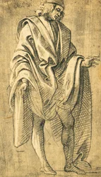 Study of human male figure (drawing)