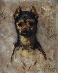 Head of dog