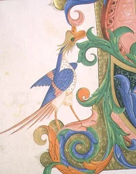 Fantastical Bird (detail)
