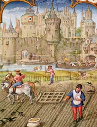 Month of October: Sowing, from Breviarium Grimani, c.1515