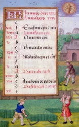 Mowing Grass, illuminated calendar page for June, from a Book of Hours, c.1500