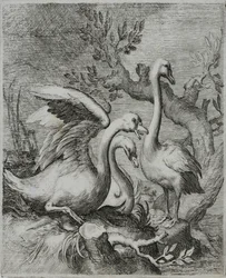 Old Master Engraving