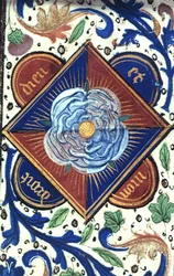 White Rose of the House of York, from 