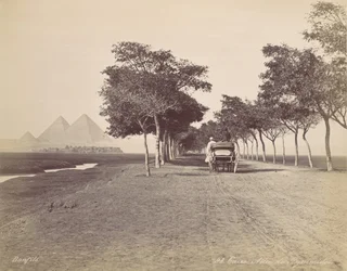 Caire. Allée de Pyramides