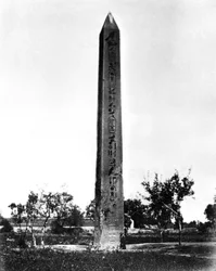 Heliopolis Obelisk, Egypt