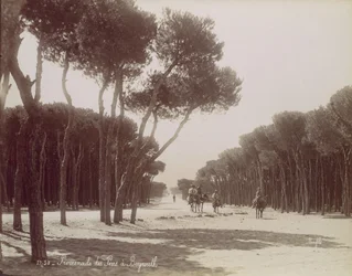 Promenade des Pins à Beyrouth, ca. 1870