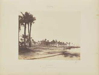 El-Nâcerah. Date Palms, Banks of the Nile and Boats