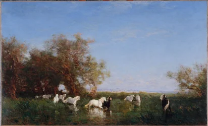 Wild Horses in the Camargue, between 1890 and 1895