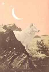 Giant Wolf in Pink Mountains, 2021