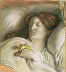Convalescent